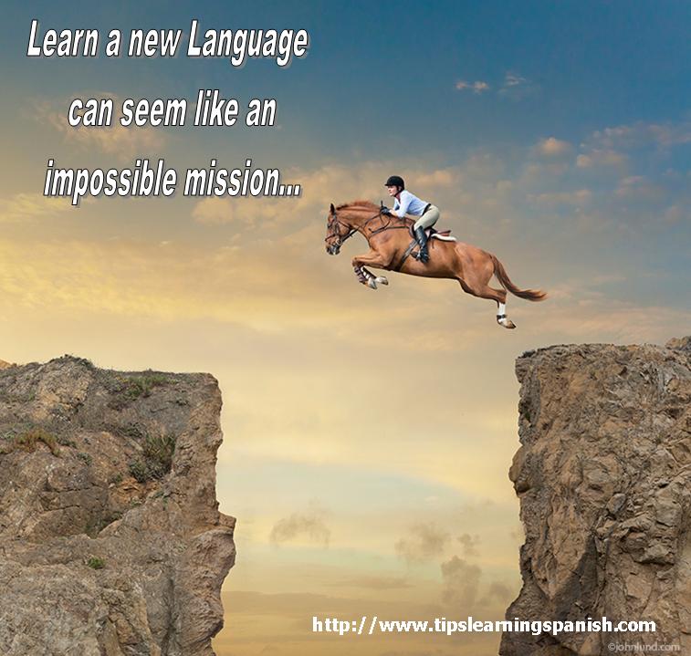 horsebigjump
