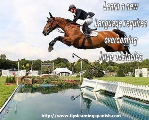horsejumpingwater